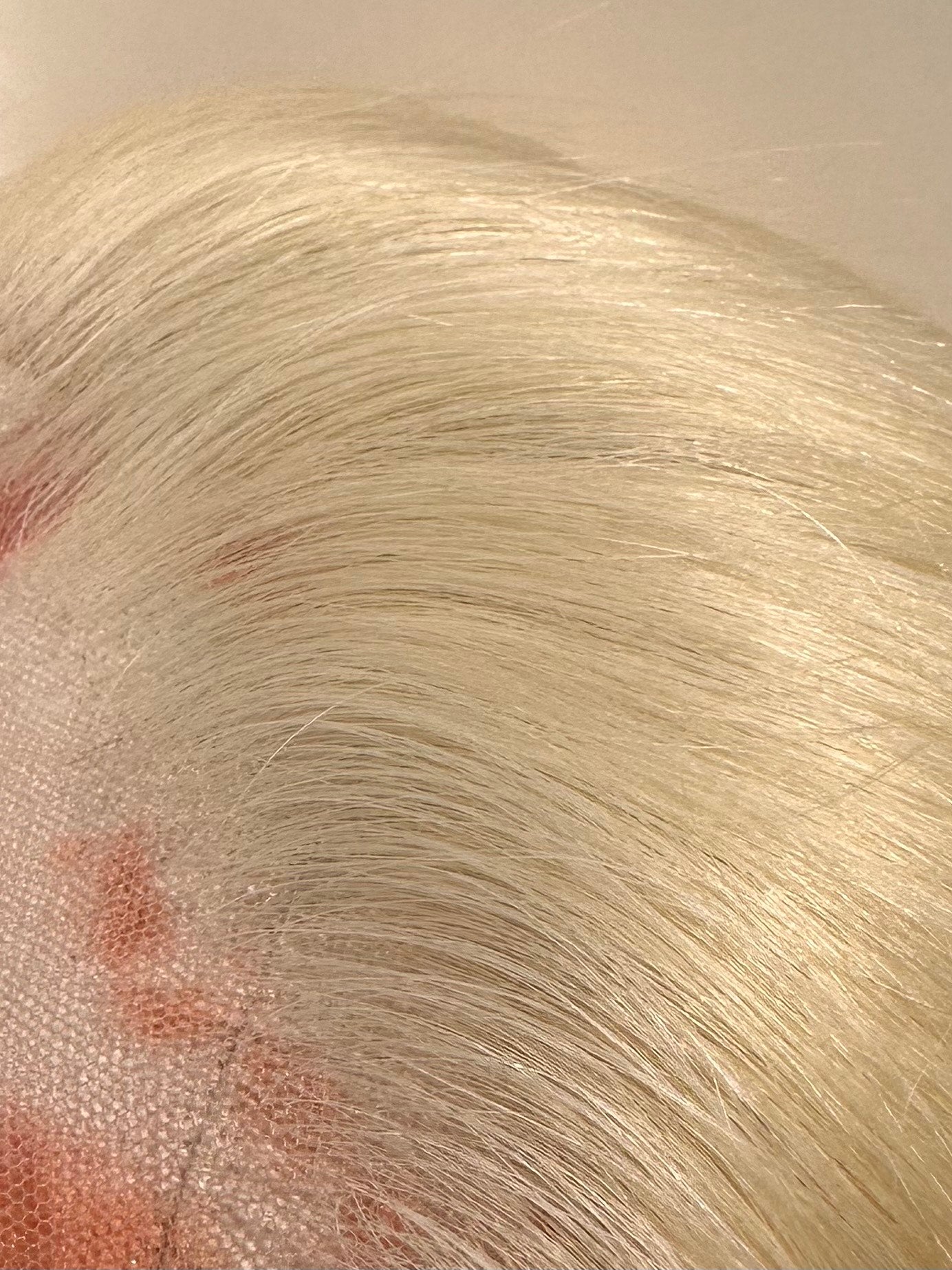 European Hair Closure (6X6 IN.)